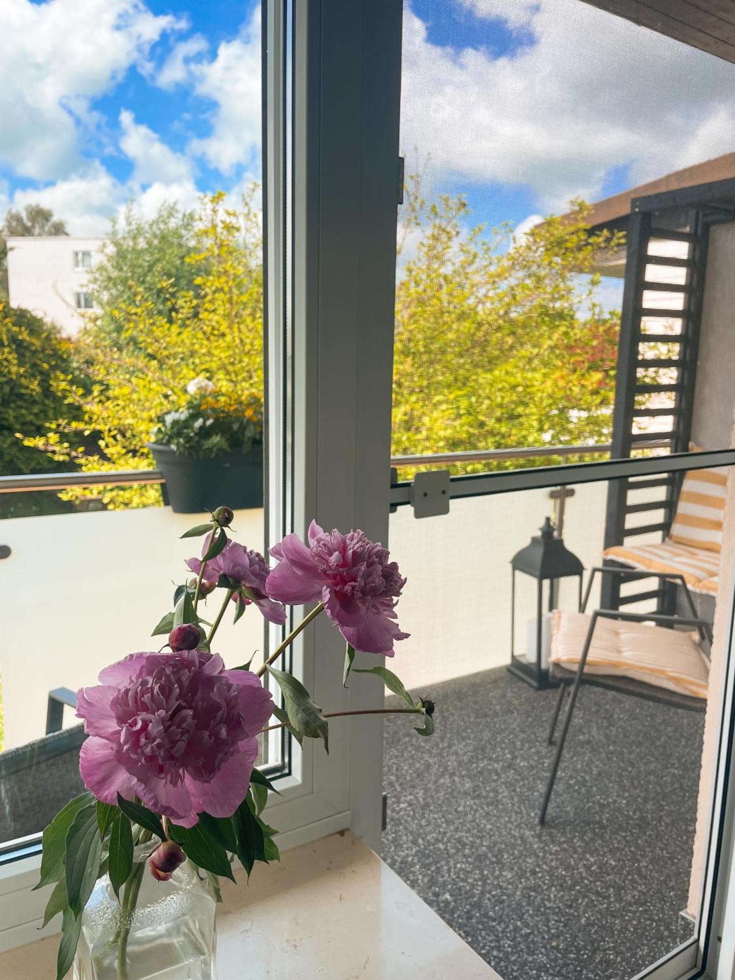 Appartment Paula Wolfhagen Eksteriør billede